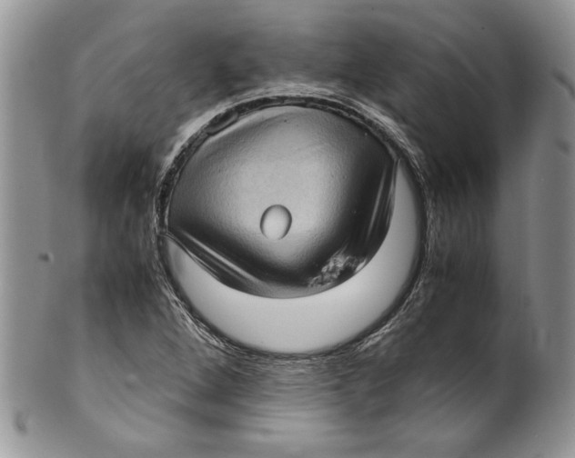 X0000099931264200806131354