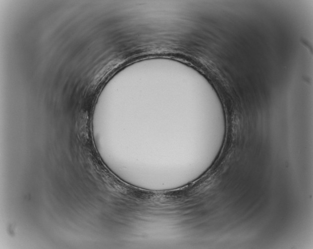 X0000099931265200806131354