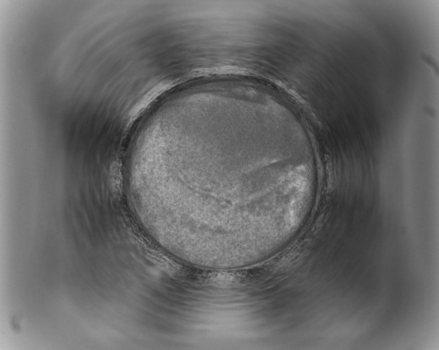 X0000099931266200806131354