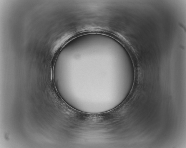 X0000099931269200806131354