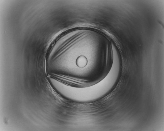 X0000099931272200806131354