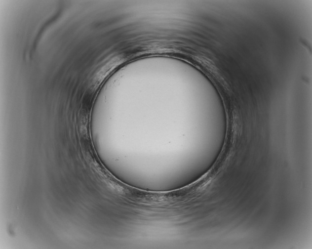 X0000099931273200806131354