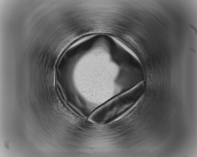 X0000099931276200806131354