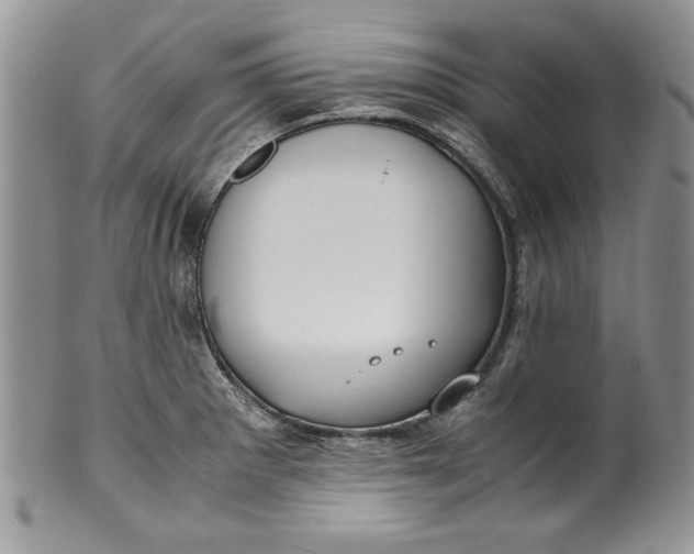 X0000099931281200806131354