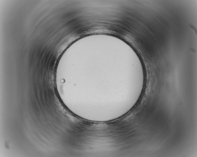 X0000099931282200806131354