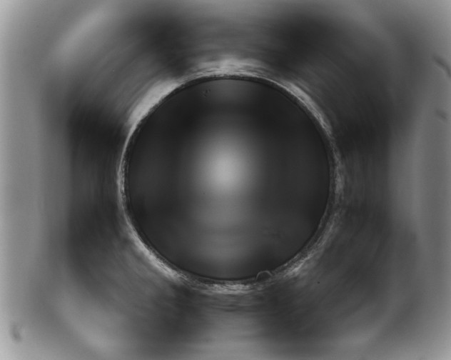 X0000099931285200806131354