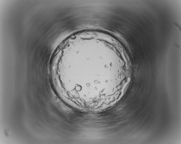 X0000099931287200806131354