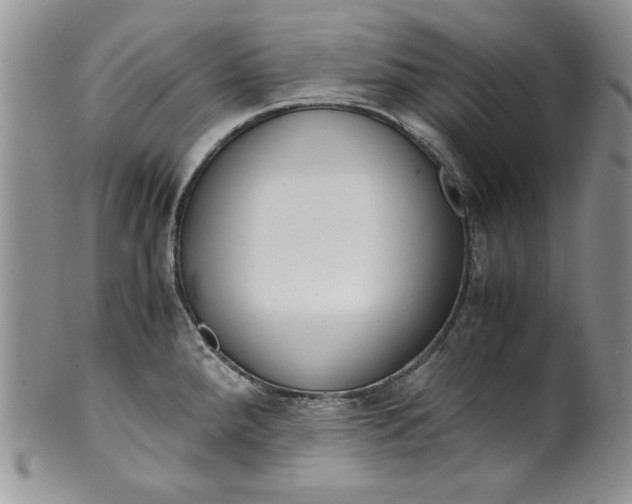 X0000099931288200806131354