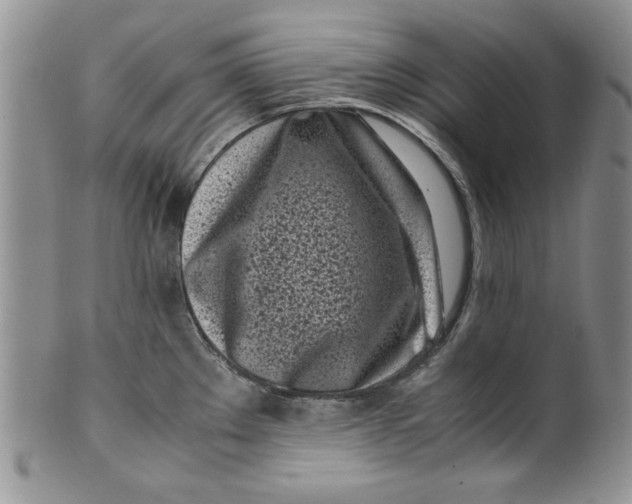 X0000099931289200806131354