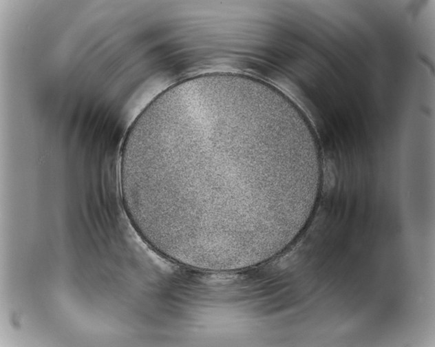 X0000099931290200806131354