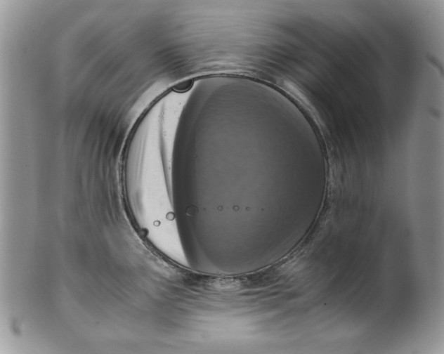 X0000099931291200806131354