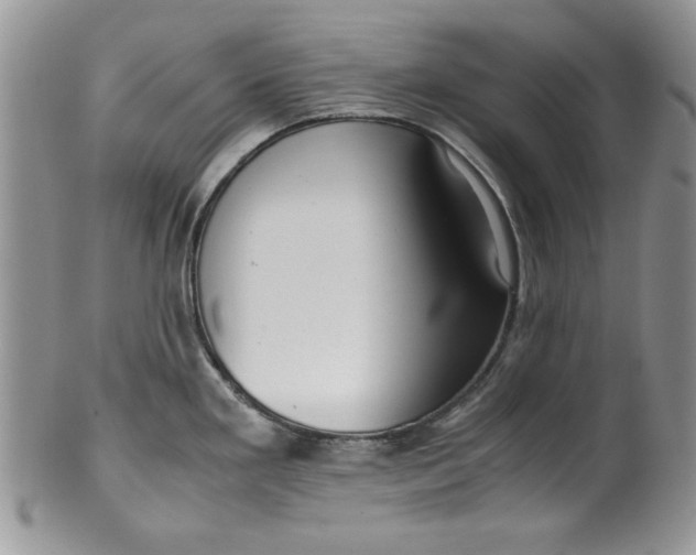 X0000099931293200806131354