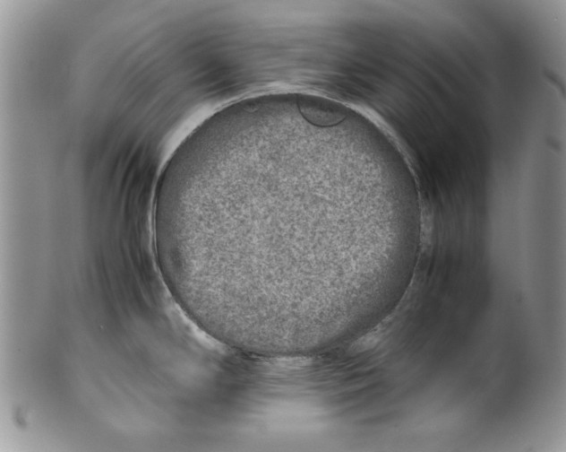 X0000099931294200806131354