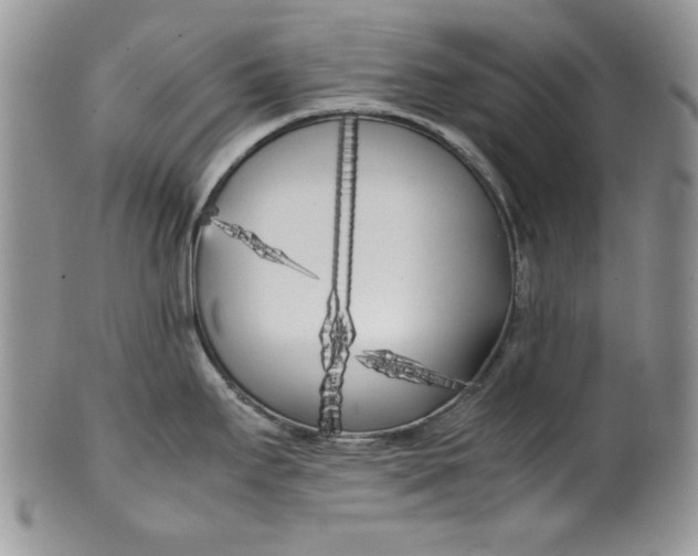 X0000099931295200806131354