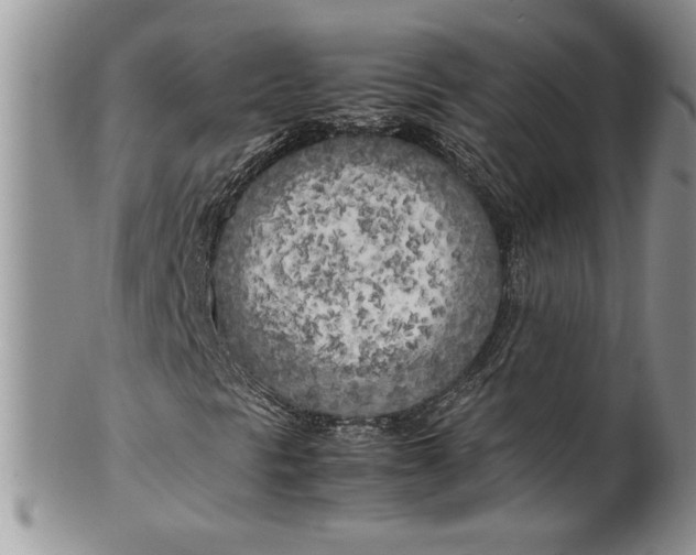 X0000099931297200806131353