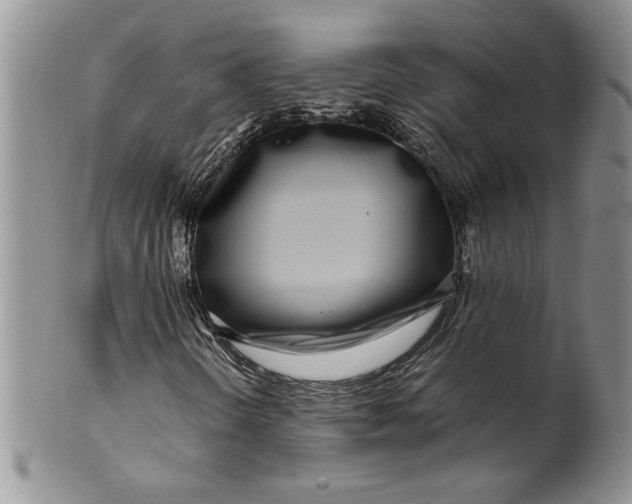 X0000099931298200806131353