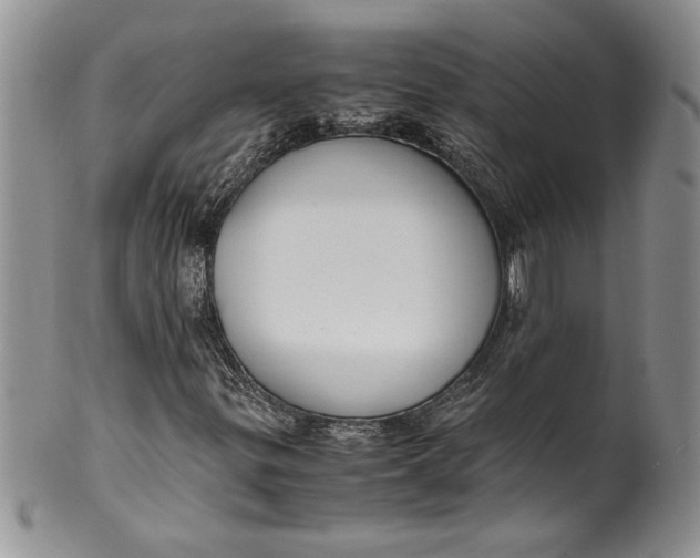 X0000099931299200806131353