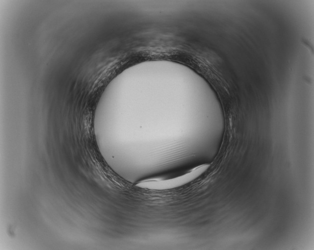 X0000099931300200806131353