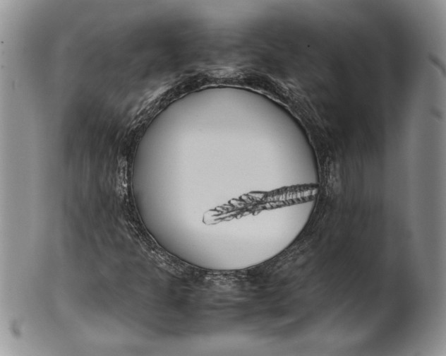 X0000099931301200806131353