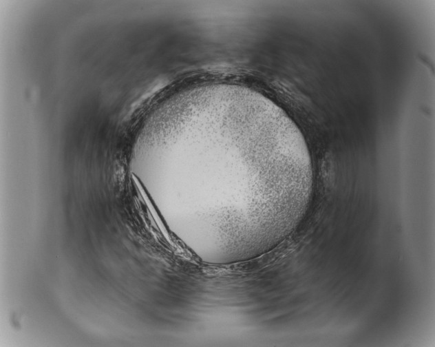 X0000099931302200806131353