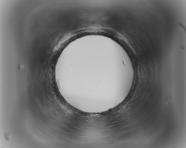 X0000099931304200806131353