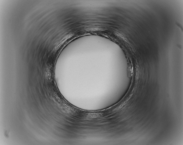 X0000099931305200806131353