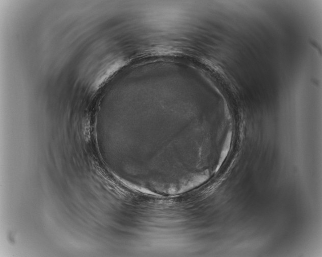 X0000099931306200806131353