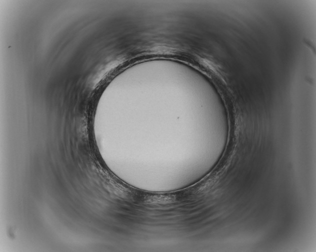 X0000099931307200806131353