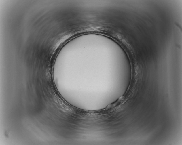 X0000099931308200806131353