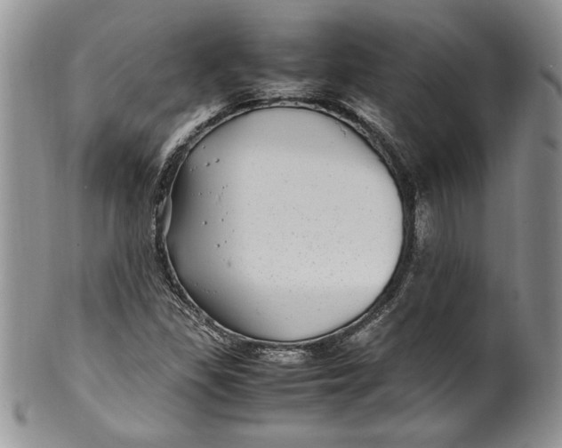 X0000099931309200806131353