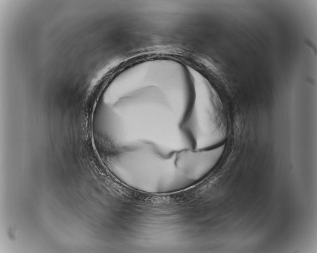 X0000099931310200806131353