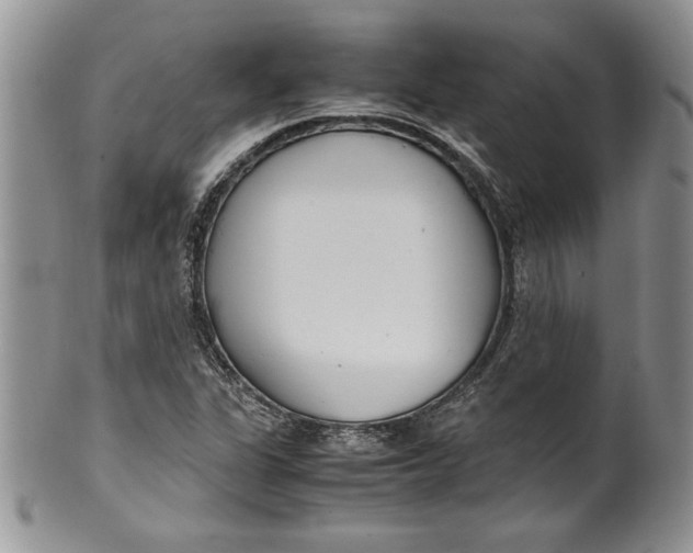 X0000099931311200806131353