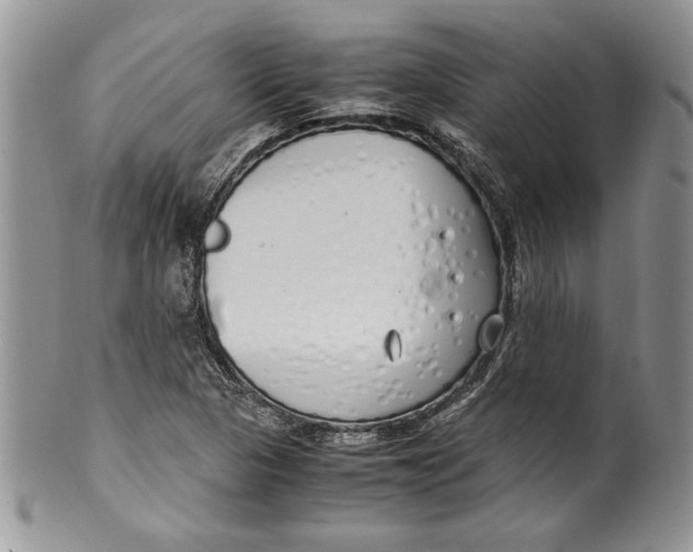 X0000099931313200806131353