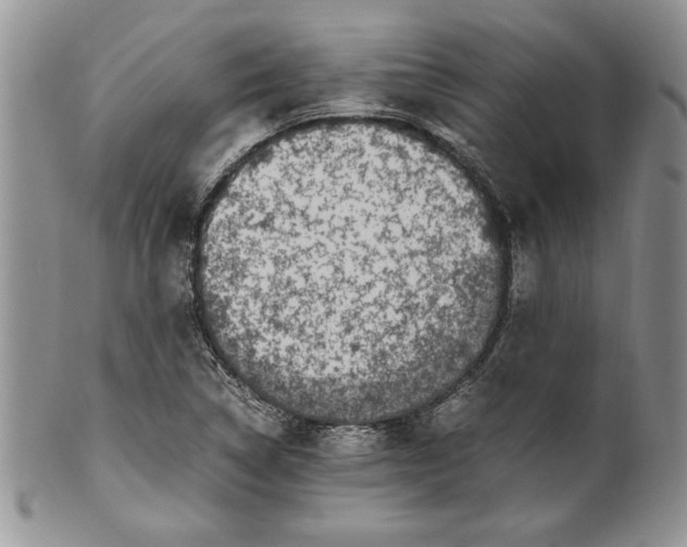 X0000099931314200806131353