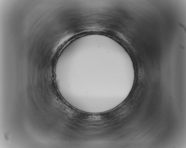 X0000099931315200806131353