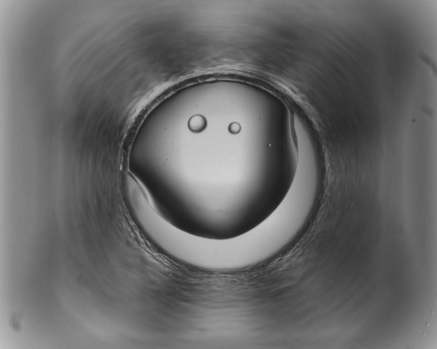 X0000099931316200806131353