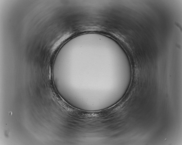 X0000099931317200806131353