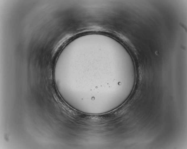 X0000099931318200806131353