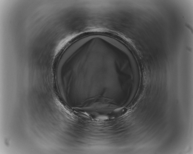 X0000099931319200806131353