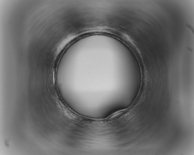 X0000099931320200806131353