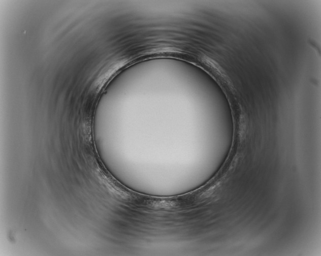 X0000099931321200806131353