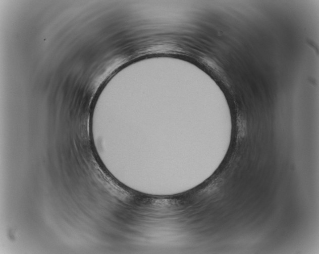 X0000099931322200806131353