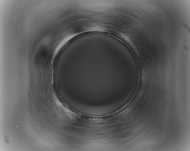 X0000099931323200806131353