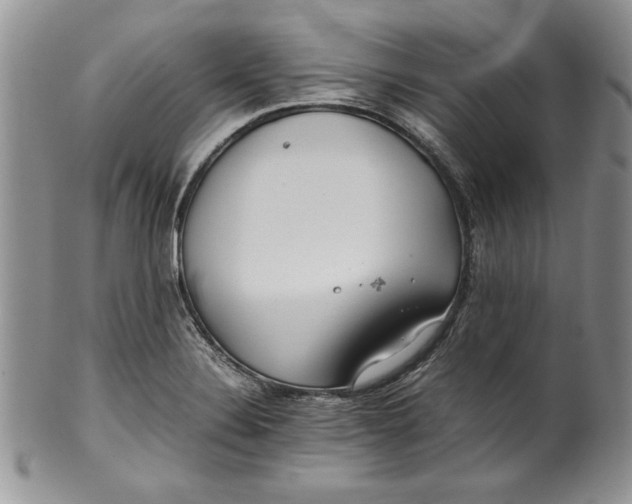 X0000099931324200806131353