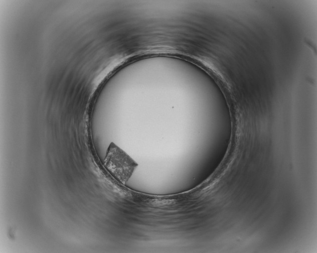 X0000099931325200806131353