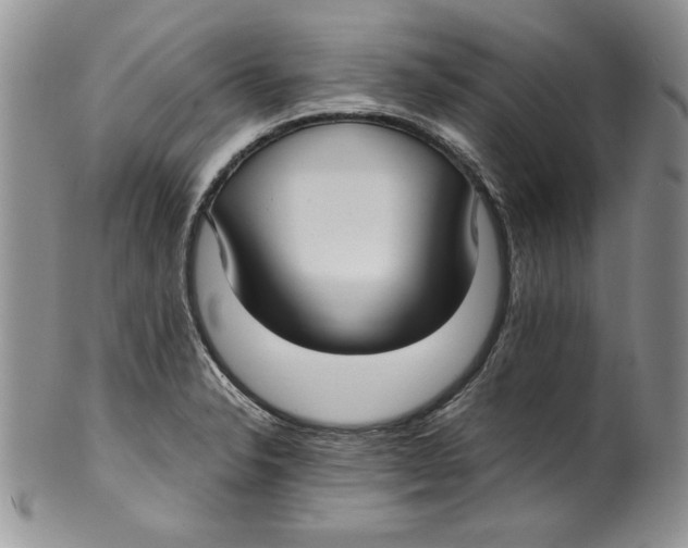 X0000099931326200806131353