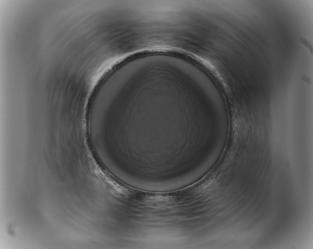 X0000099931327200806131353