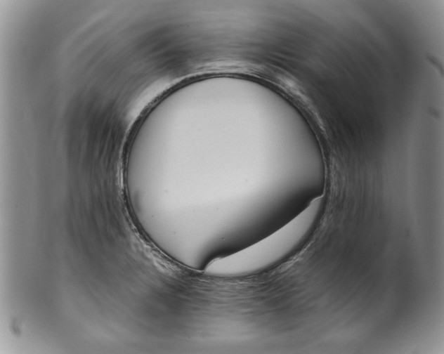 X0000099931328200806131353