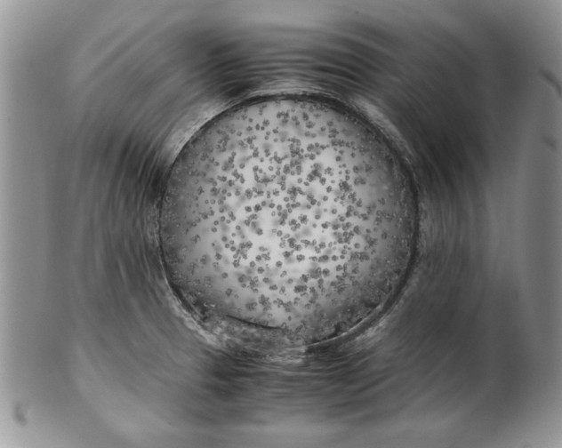 X0000099931329200806131353