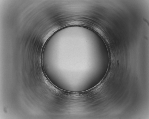 X0000099931330200806131353